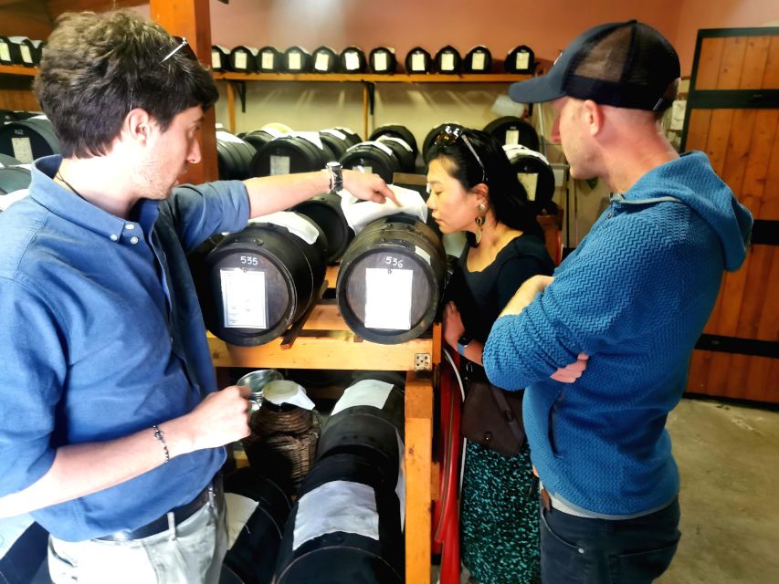 Bologna: Parmigiano, Wine and Balsamic Vinegar experience - Why this Bologna-to-Modena food day feels smarter than a checklist