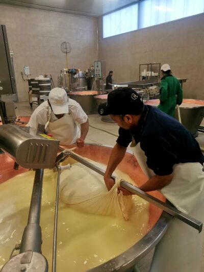Bologna: Parmigiano, Wine and Balsamic Vinegar experience - The early 7 am pickup: it’s part of the value, not just a nuisance