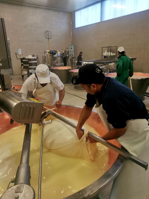 Bologna: Parmigiano, Wine and Balsamic Vinegar experience - The early 7 am pickup: it’s part of the value, not just a nuisance
