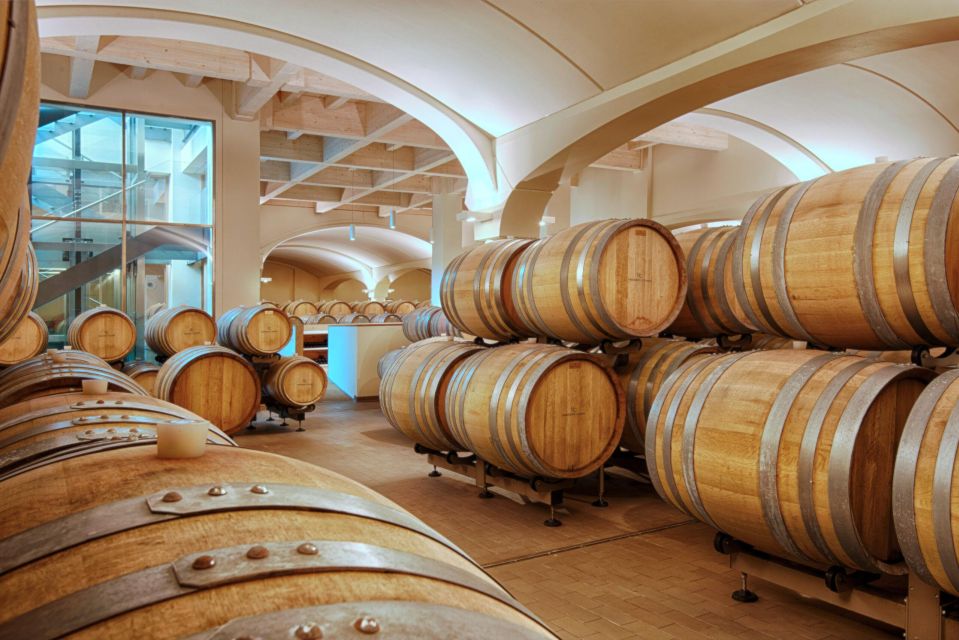 Bologna Vineyard Vista: a journey through Emilian wines - First up: where this Bologna vineyard experience fits in your day