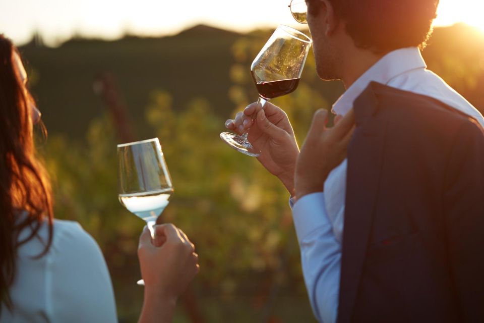 Bologna Vineyard Vista: a journey through Emilian wines - The tasting flow: vineyards, ageing cellar, then pairings