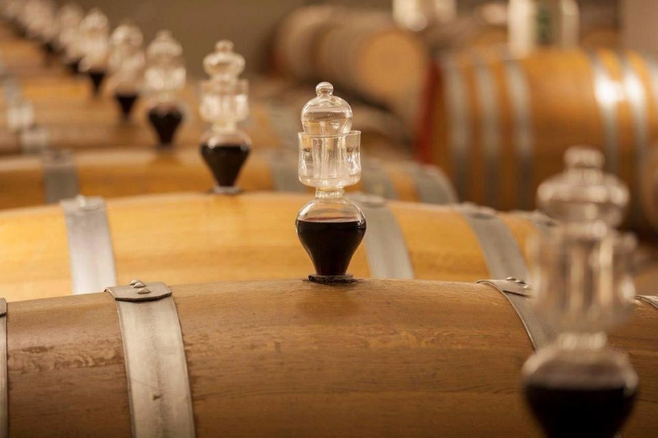 Bologna Vineyard Vista: a journey through Emilian wines - Price and logistics: the real value math for your wallet