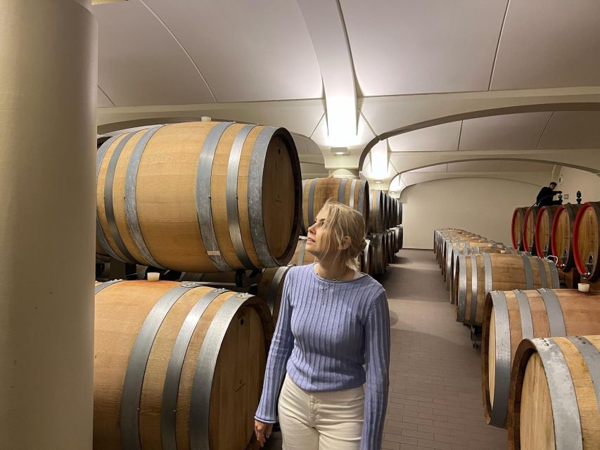 Bologna Vineyard Vista: a journey through Emilian wines - Classic vs Deluxe: what’s different in the tasting