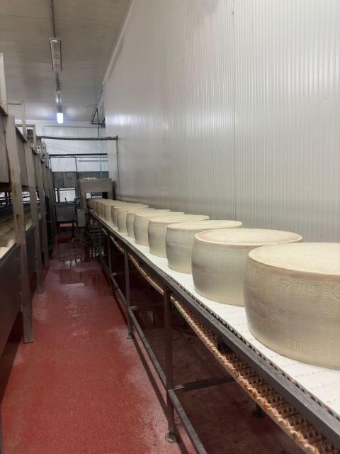 Bologna:Ferrari, Parmigiano, Balsamic Day Trip w/Light Lunch - Who Should Book This Trip (and Who Should Skip It)