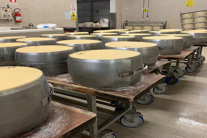 Day Tour Parmigiano, Ferrari Museum, Balsamic, Lambrusco, Lunch with Transfer - Parmigiano Reggiano: the dairy stop that makes aging click