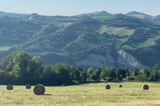 FARM STAY EXPERIENCE & DOZZA - Private Day Tour From Bologna - Dozza: painted streets, a historic walk, and the Rocca viewpoint