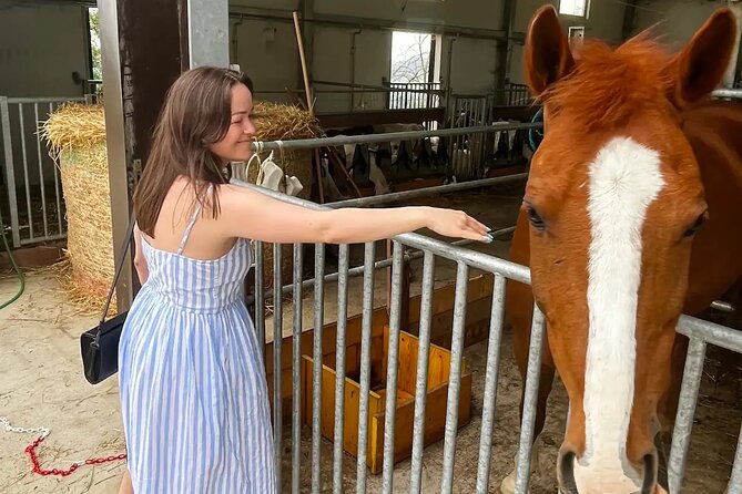 FARM STAY EXPERIENCE & DOZZA - Private Day Tour From Bologna - Price and value: what $472.21 per person is paying for