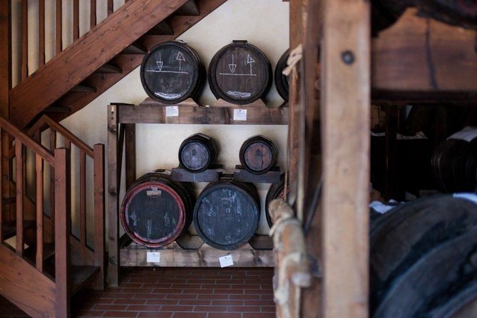 Food Tour: Parmigiano, Balsamic, Red Wine, lunch,transport - Key highlights worth planning for