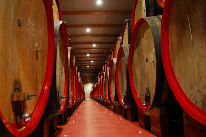 Food Tour: Parmigiano, Balsamic, Red Wine, lunch,transport - Stop 3 at Acetaia Pedroni di Modena: black gold balsamic and a guided process