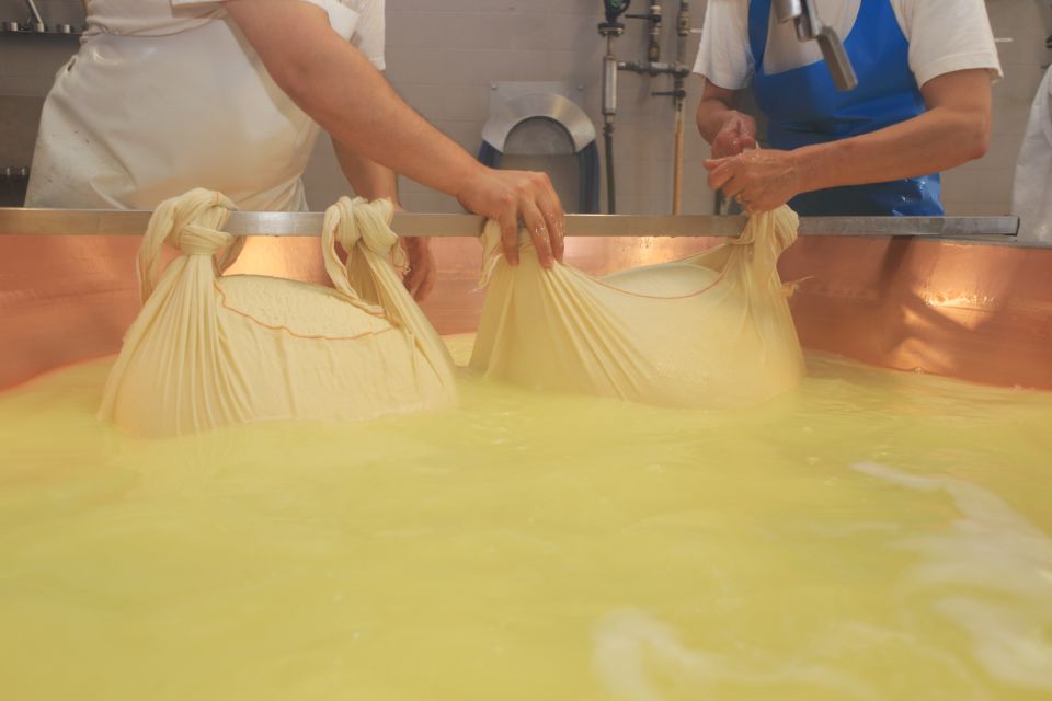 From Bologna: Emilia Excellence Food Tour - Bologna–Emilia Excellence Food Tour: what you’re really buying for $396.50