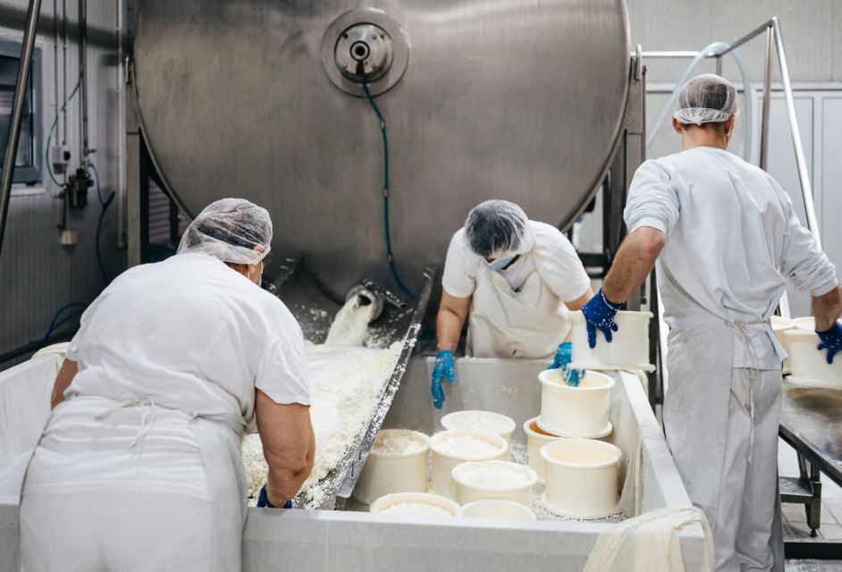 From Bologna: Parma Cheese & Ham Factory Tours and Tastings - Key highlights worth planning around