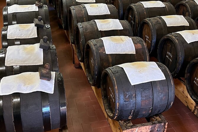From Bologna: Parmesan Cheese & Balsamic Vinegar Tour+Lunch - The Parmigiano Reggiano factory visit: watching DOP cheese production up close